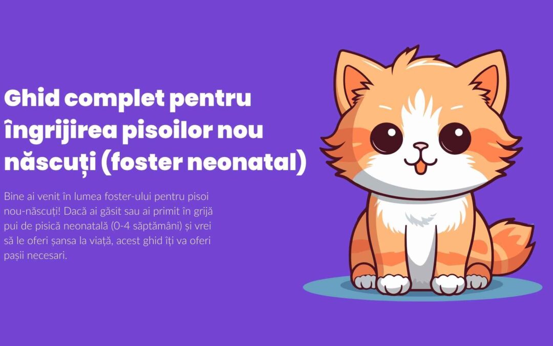 Ghid complet pentru îngrijirea pisoilor nou-născuți (foster neonatal)